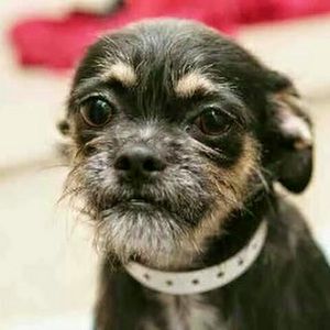 Meet your Posher, Alejandra